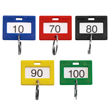 Schlüsselanhänger 100er Set: nummeriert von 1 bis 100, mit Schlüsselring 