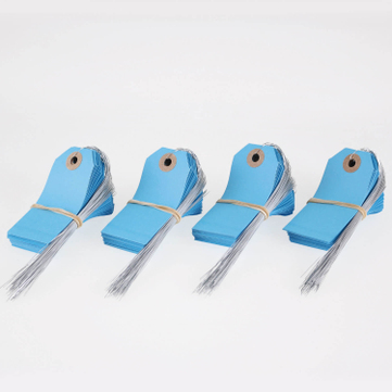 Etiketten aus Karton Eco2: mit Draht und Lochverstärkung, Universaletikett Blau