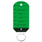 Schlüsselanhänger Car: 100 Anhänger, 100 Schlüsselringe  Grün