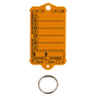 Schlüsselanhänger Autotag 1: 100 Anhänger mit Stahlringen  Orange