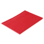 Schlaufenanhänger Schlaufenetiketten Tyvek®,  Länge 220 mm x Breite 12,7  mm Rot